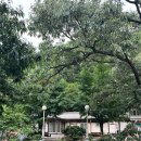 이마트에브리데이 쌍문동점 이미지