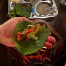 발랄한맥주 | [올레시장 술집] 친구와 가볍게 한잔하기 좋은 가성비 맛집 발랄한맥주 방문 후기 🍻