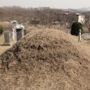 홍지 이미지