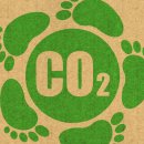 탄소발자국과 지구의 미래 이미지