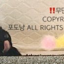 지에스25 세종로점 네이버블로그