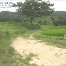 한천리농로 네이버블로그