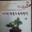 와룡초 이미지