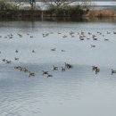 진달래펜션 이미지