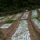 청안농장 이미지