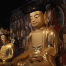 고산사목조석가모니불좌상 이미지