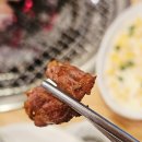 신정희숯불닭갈비 네이버블로그