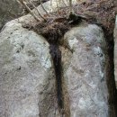 선산풍년식당 | 20150421오후금정산(동문.고당봉.장군샘)산행