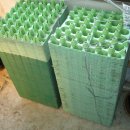 100-1-000025 이미지