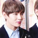 더정성