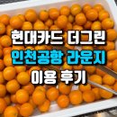 현대카드 더그린 혜택으로 인천공항 2터미널 라운지(마티나 라운지) 이용 후기!