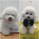도담도담이발소 이미지