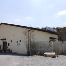 둔포애견 이미지