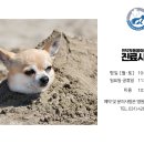 인덕원동물의료센터 이미지