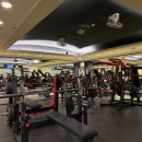 럭키워시 | 화정헬스장 넓은 규모와 빵빵한 시설 운동하기 좋은 럭키짐 후기