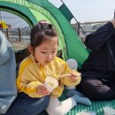 영암3리 방파제 간이화장실 | 포항 낚시 포인트 / 포항 장기면 영암3리방파제