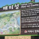 맹종죽테마파크1 이미지