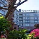 베니키아호텔제주 이미지