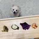 (주)씨스루키친 이미지