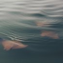 힐링아쿠아 - 부천시 소사구 경인로 543-1 | 힐링아쿠아