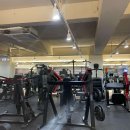 주식회사 장산 | 부산 좌동 헬스장 팀터틀랫 해운대장산점 위치, 가격, 영업정보, 기타정보, 후기 알려드립니다~!
