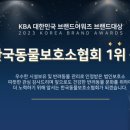 한국동물보호소협회 네이버블로그