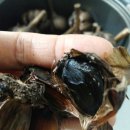 구름정원펜션 이미지