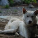 향촌민박 이미지