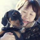 부산경남장례협동조합
