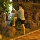 별이랑식물사랑 네이버블로그
