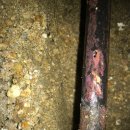 송탄여관 이미지