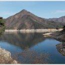 충주호 종댕이 이미지