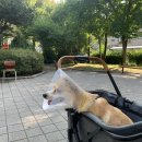 라뽀동물병원 이미지