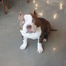 우소농장 이미지