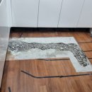 영도구-2 이미지