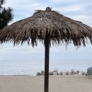 포석로4-1(서) 이미지