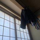 [일본 워홀]day+21⋮ 신주쿠에서 놀기 /타츠노야 츠케멘 후기 /이세탄 백화점 /올시즌커피