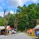 양지마을3로 4-15 이미지