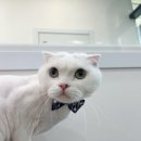 포리네 민박 이미지