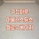 반포자이동물병원 | 강남 반포자이 구정마루 마뷸러스듀스 멜로우베이지 마루시공후기