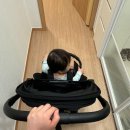 버터플라이 | 부가부 버터플라이2 실사용 후기 장단점 한눈에 정리