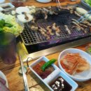 고기 여너 이미지