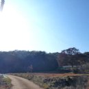 교로1리 마을회관 이미지