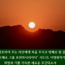 긴골목장 이미지