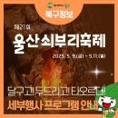 농소초등학교 | 2026 울산쇠부리축제 일정 주차 셔틀 정보 총정리