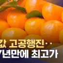돈잔치 이미지