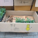 진주팜농약 네이버블로그