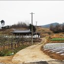 월파농장 이미지