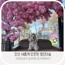 멍인더숲 목욕탕 이미지