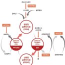 함안약국 이미지